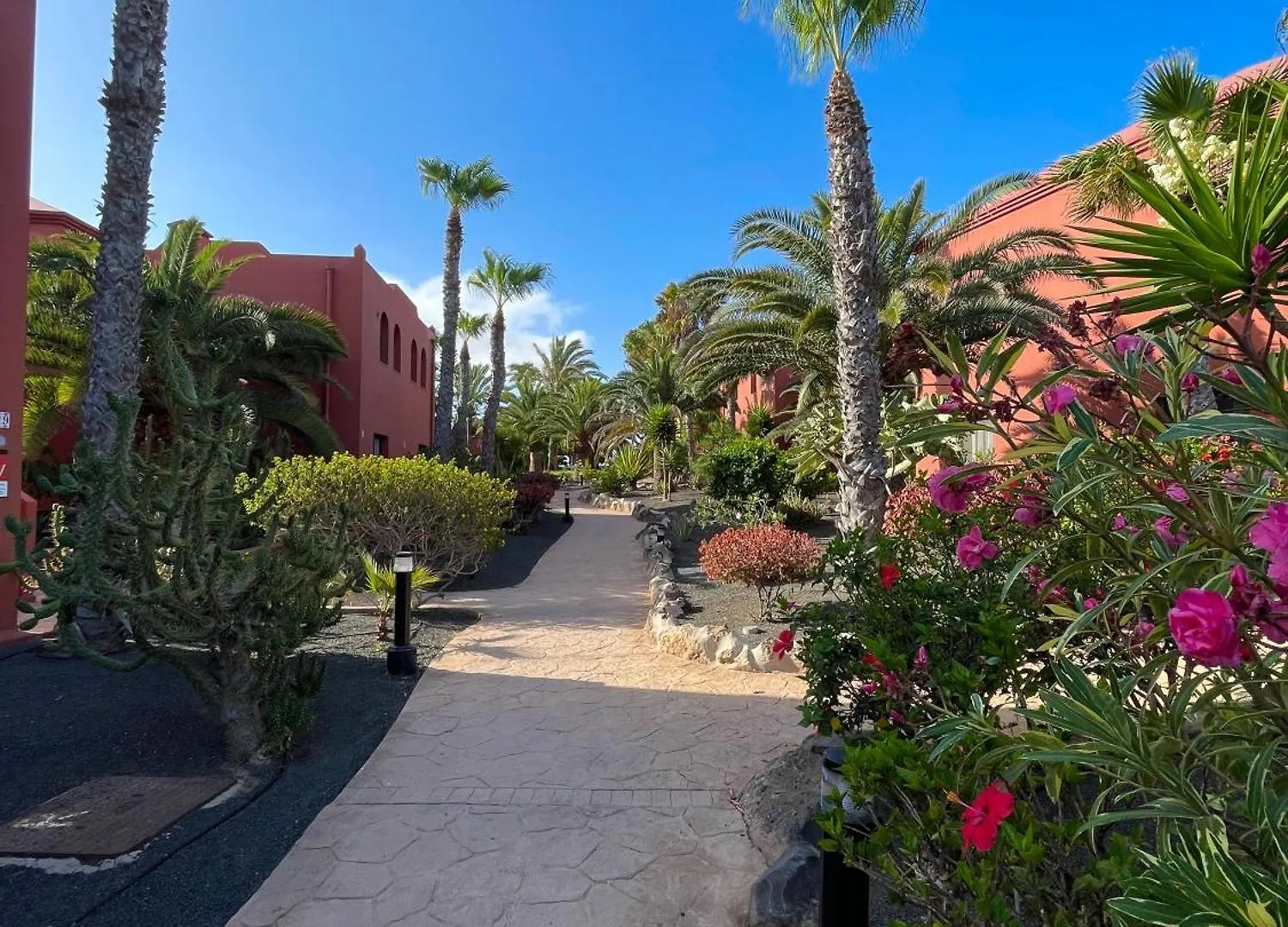 アパート Karol Home By Best Holidays Fuerteventura コラレホ