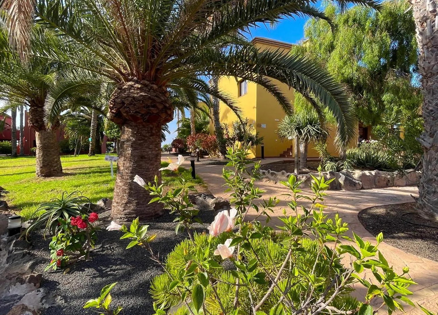 Karol Home By Best Holidays Fuerteventura コラレホ スペイン
